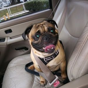 Meet your Posher, Julia